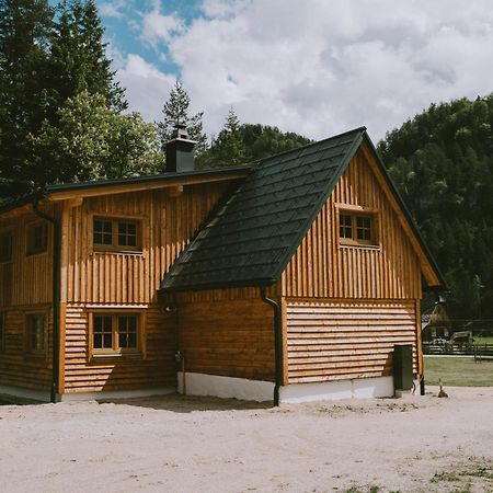 Naturparkresort S'Keuscherl Wildalpen Dış mekan fotoğraf