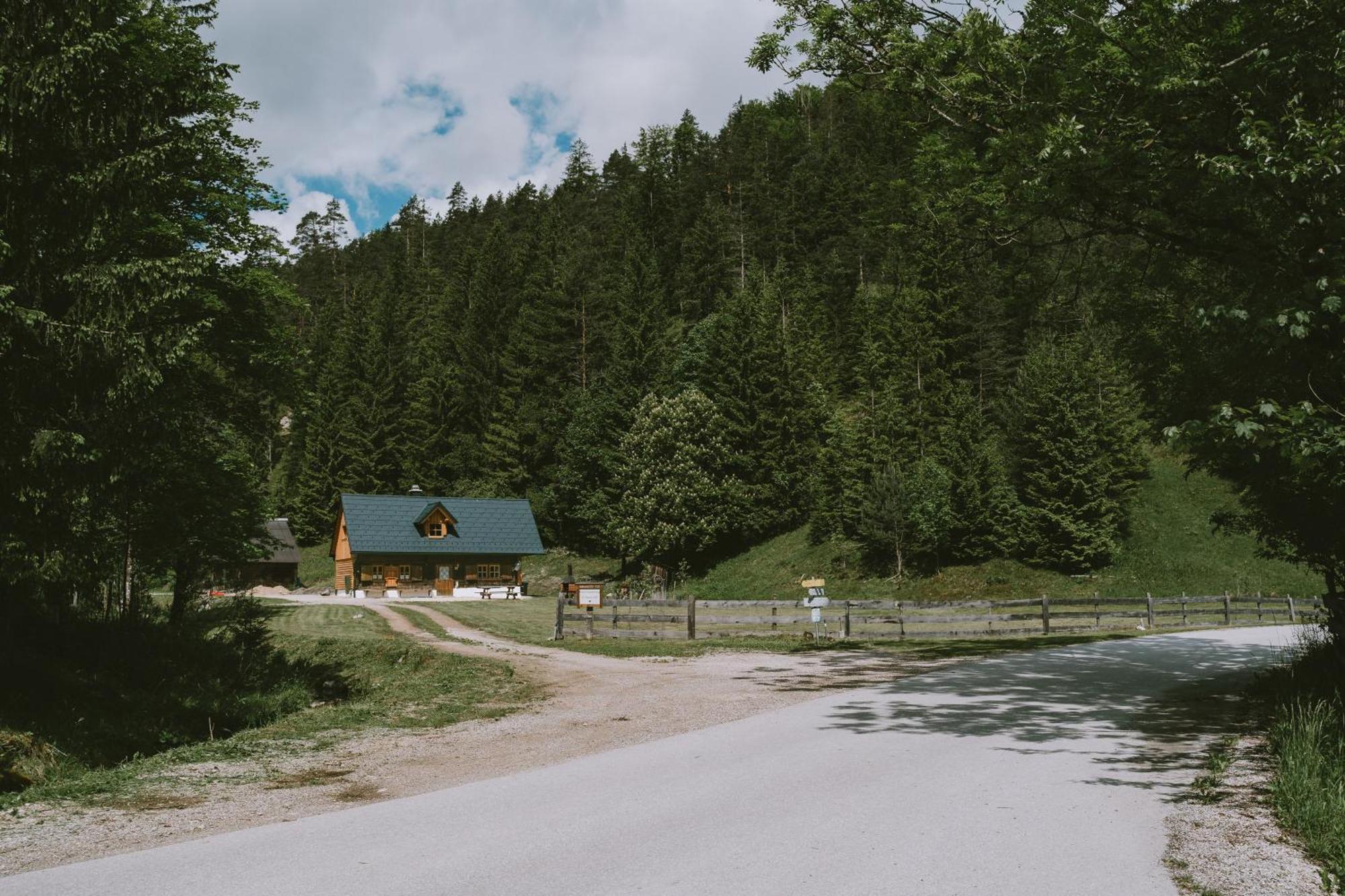 Naturparkresort S'Keuscherl Wildalpen Dış mekan fotoğraf